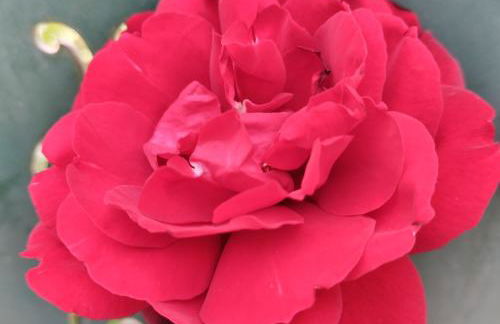 Holiday Home in Chalkidiki, Lakkoma - Foto 46