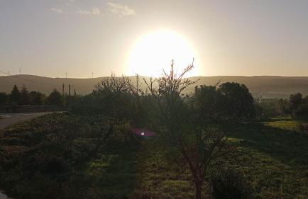 Angel's House - Foto 28