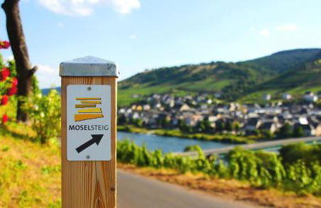 Weingut Mathy-Schanz - Foto 31