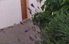 Casa Castillo - Foto 22