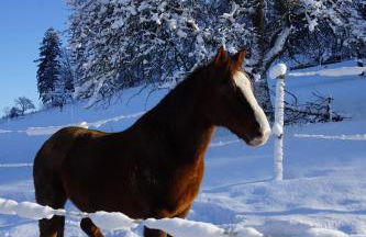 Müllerleile Hof - Foto 12