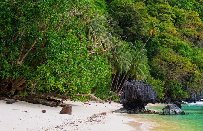 Tour de barco pela baía de Bacuit - Foto 1