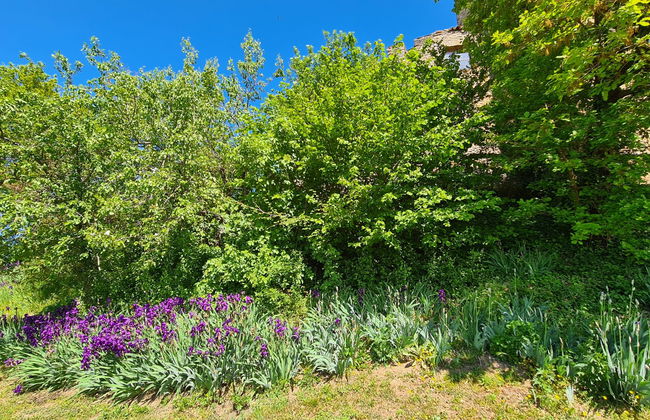 di Magnano - Foto 25