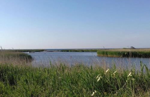 Holiday apartment 2 in the Maaßen country house - Foto 31