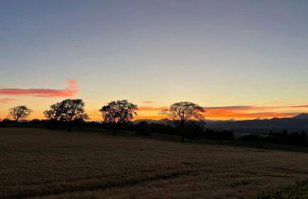 St Michael's - Photo 58