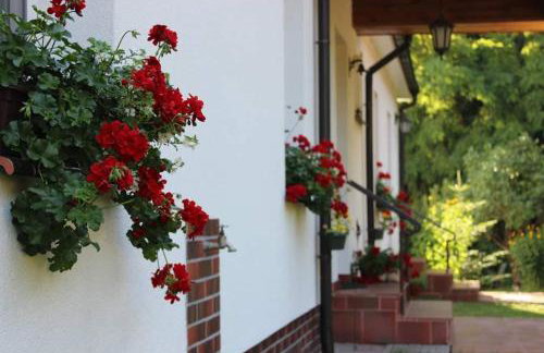 Agroturystyka Rębowo - Foto 8