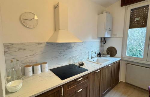 Apt Terrace & Garden near Como - Foto 16