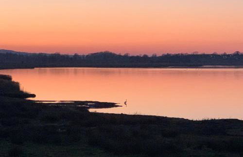 Dein Haus am Meer mit Sauna - Photo 31