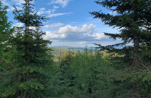 Bayerwaldnest - Foto 38