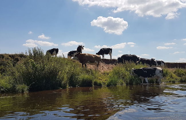 Houses Toger With Group Space in 't Vechtdal - Foto 29