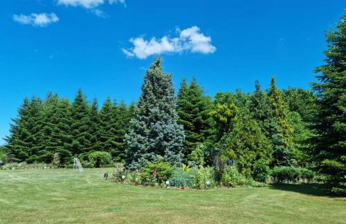 Domek Pod Cisem na wyłączność - Foto 26