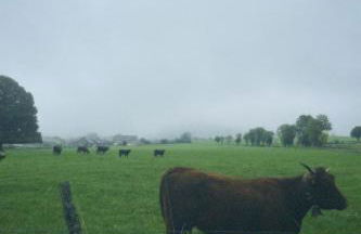 Ancienne grange typique nichée au cœur du Cantal - Photo 36