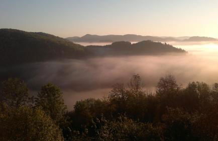 Schloß Wittgenstein - Foto 7