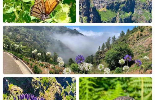 Villa Isabela - Car Rental for Free - Foto 7