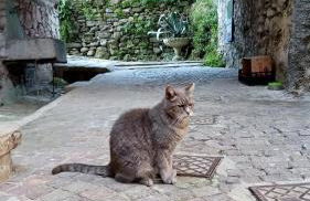 Breathe The Air of Dolceacqua - Foto 22