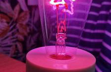 Ocean front apartment Trianon - Photo 39