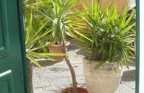 la casa nel cortile - Foto 14