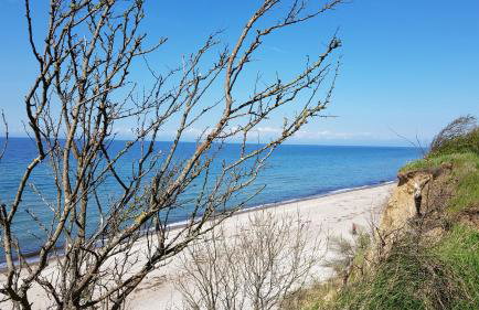 Ferienhaus an der Ostsee - Foto 34