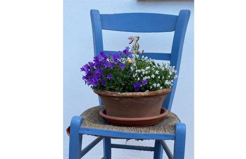 Il Trammino - Foto 36