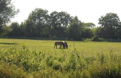 Landhaus Fischersruh Plauer See - Foto 30