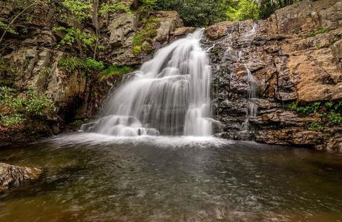 Nature's Paradise with Hot Tub and Fire Pit - Foto 36