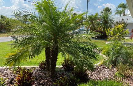 Waterfront Hernando beach house on deep water canal w/dock, fishing, kayak - Foto 44