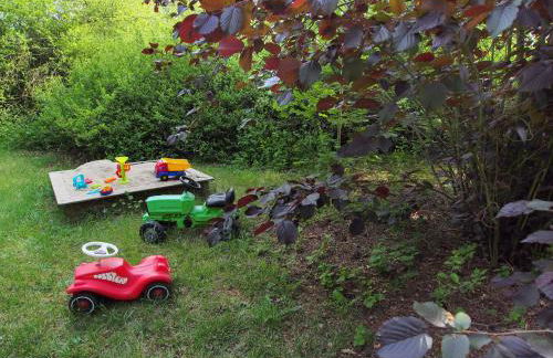 Ferienwohnung am Dümmer See - Foto 32