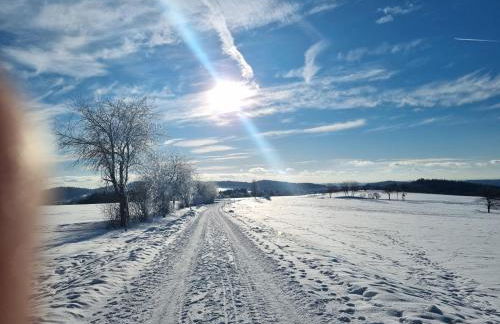 Ferienwohnung Kreuzberg - Foto 52