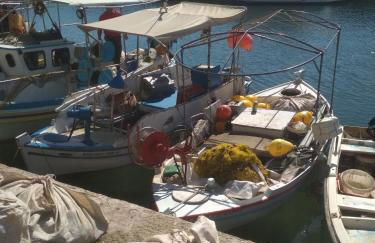 Rent Rooms Alexiou - Photo 61