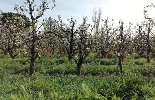 Finca Marina Turismo Rural - Foto 20