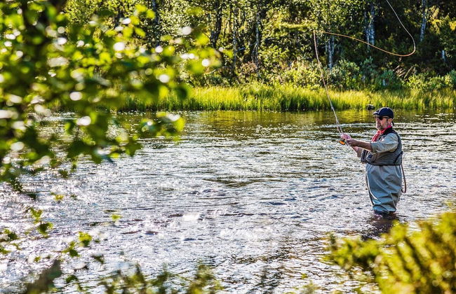 8 Person Holiday Home in Lofsdalen - Foto 18