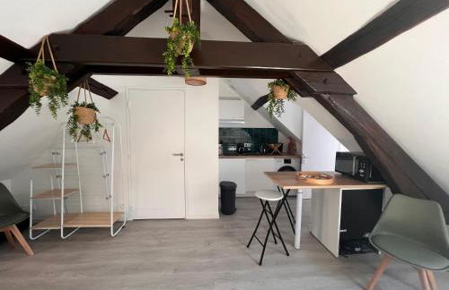 Studio cosy et confortable Centre de Nemours, gare à pied - Foto 6