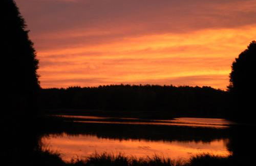 Ferienhäuser Waldidyll - Foto 8