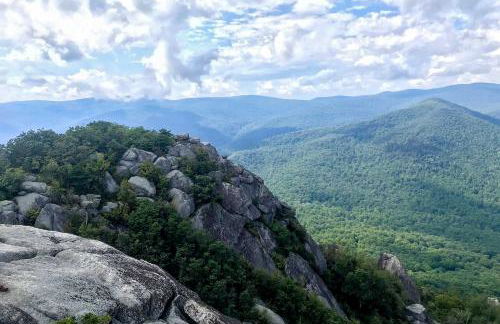 Secluded Stanardsville Cabin with 10 Acres and Hot Tub - Foto 3