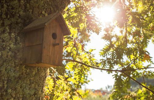 Chão do Rio - Turismo de Aldeia - Foto 47