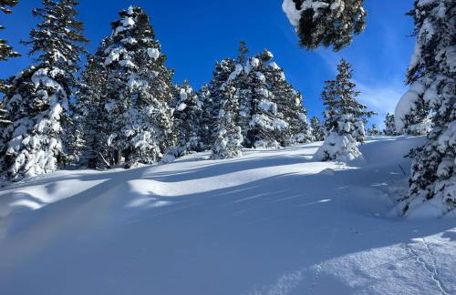 Lumineux 2 pièces vue montagne au pied des pistes avec parking privé - Foto 28