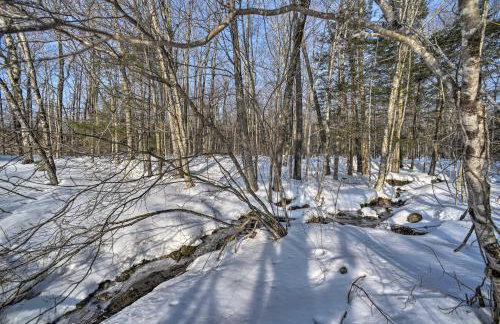 Berkshires Home on 11 Acres with Pond and 2 Fire Pits! - Foto 38