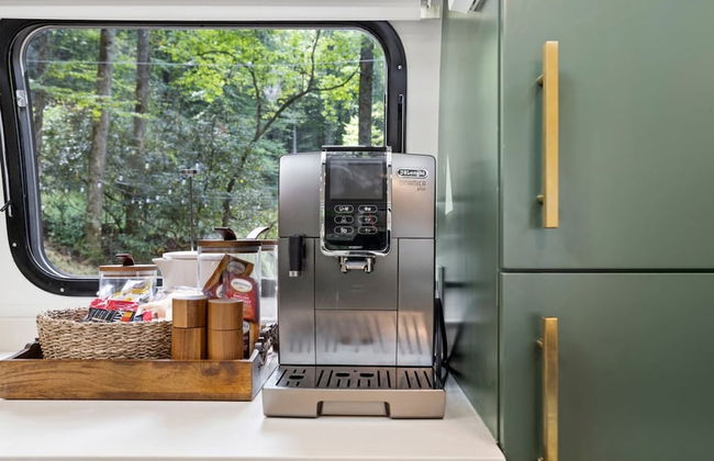 Royal Fern in Pisgah Forest - Foto 14