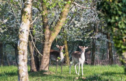 Agriturismo I Leprotti - Photo 55