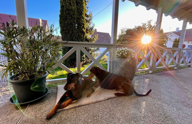 Ferienwohnung Toja - Foto 27