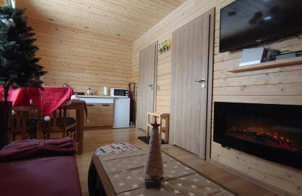 Apartamenty przy Jeziorze Żywieckim z widokiem na Skrzyczne - Foto 42