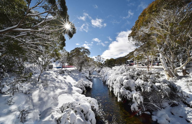 Blues Air 3 - Photo 16