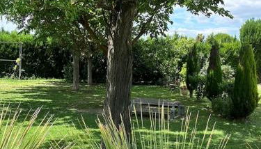 La provence avec piscine privative en campagne - Photo 2, Garden view