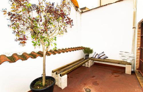 VUT Limoneros laranitasalmantina - Foto 10