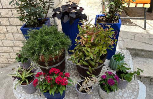 Apartment Smokva - Photo 13