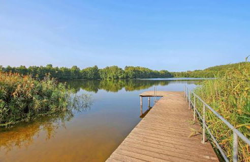 Ferienwohnung Wokuhl-Dabelow - Foto 13