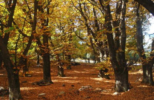 Hani Kastania - Chania retreat for families and groups for holidays and workshops - Foto 39