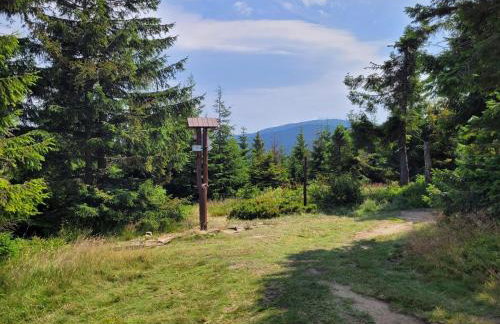 Apartament BESKIDLOVE - Foto 37