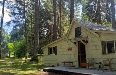 Blissful Solitude Cottage - Foto 38