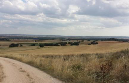 Casa Rural Ca'l Gonzalo - Foto 14